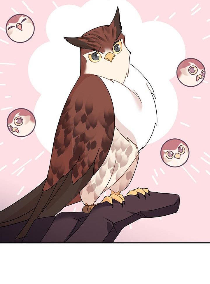 công chúa của loài chim chapter 44.2 20