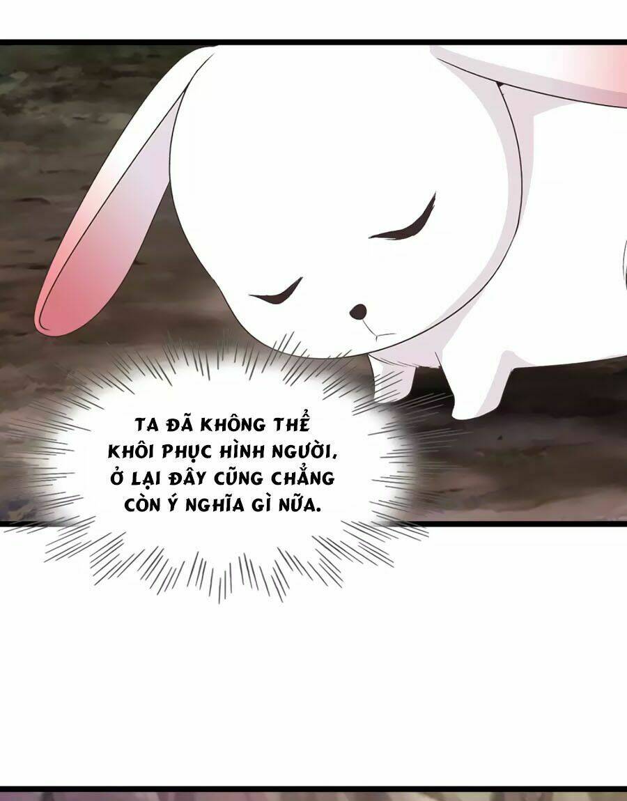 thỏ yêu tiểu vương phi chapter 91 28