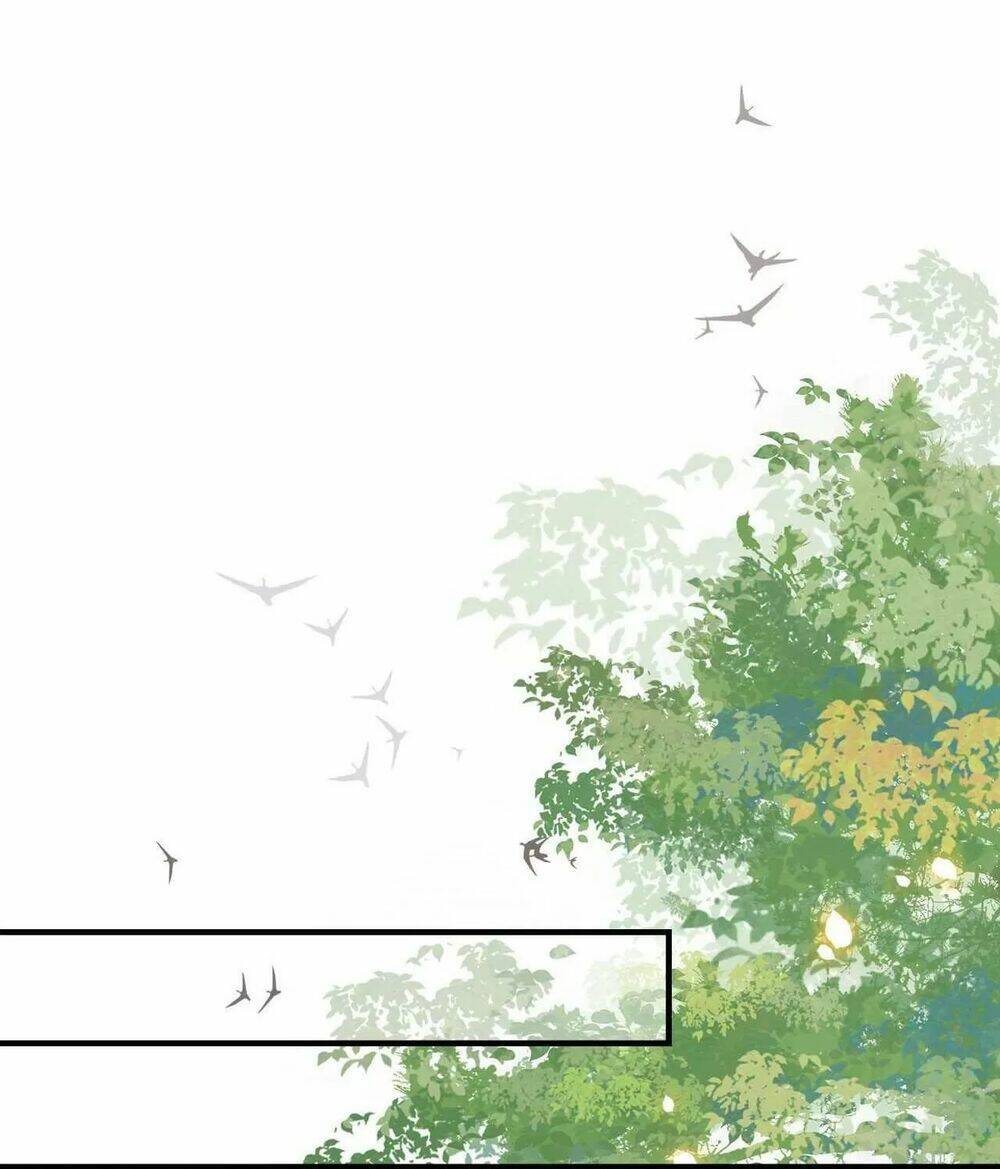 phượng hoàng vu phi chapter 108 10