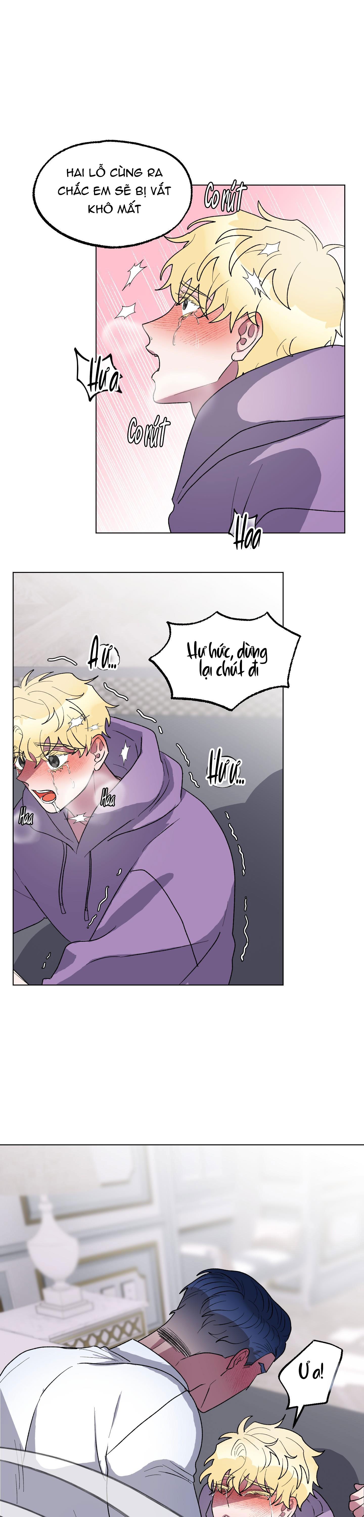 cá mập và cô dâu thỏ chapter 9 4