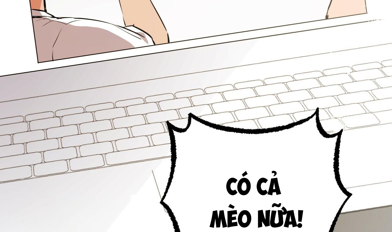 đàn thỏ của habibi chapter 48 76