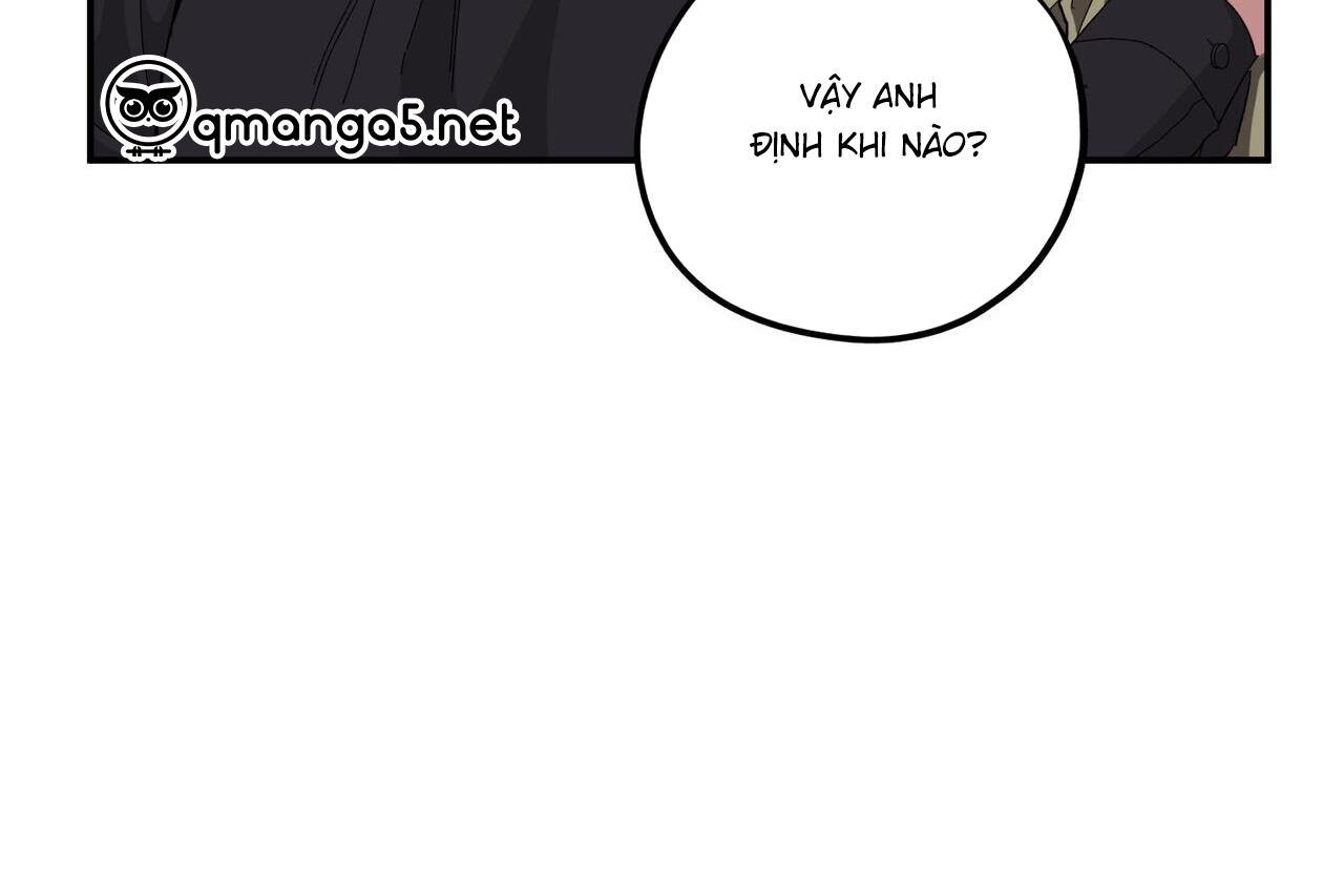 chàng dâu nhà họ kang chapter 34 72