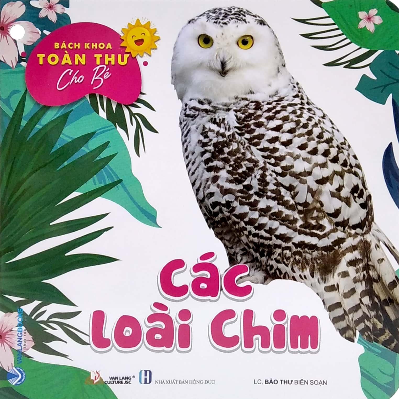 Bộ Bách Khoa Toàn Thư Cho Bé - Động Vật Dưới Nước (Bộ 5 Cuốn)