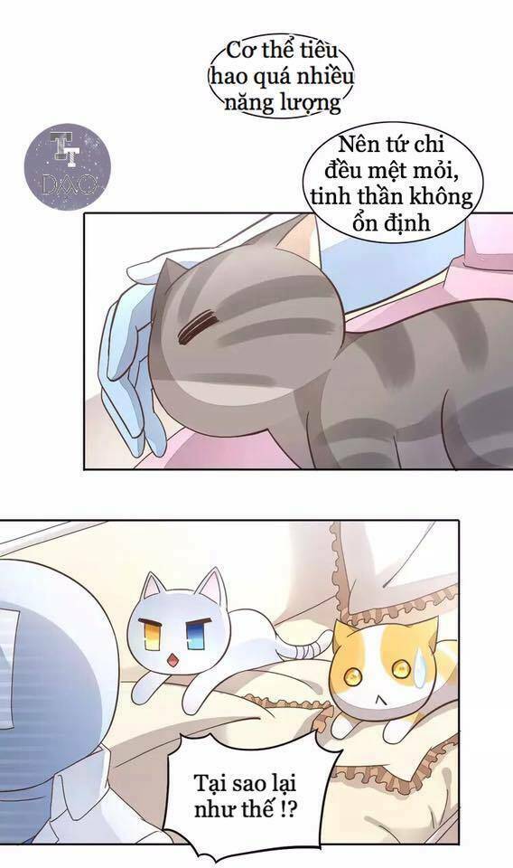 dưới móng vuốt mèo chapter 19 11