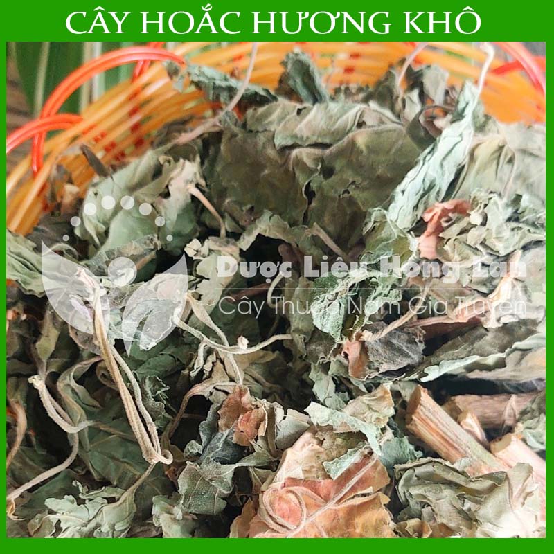 Cây hoắc hương khô sạch đóng gói 1kg