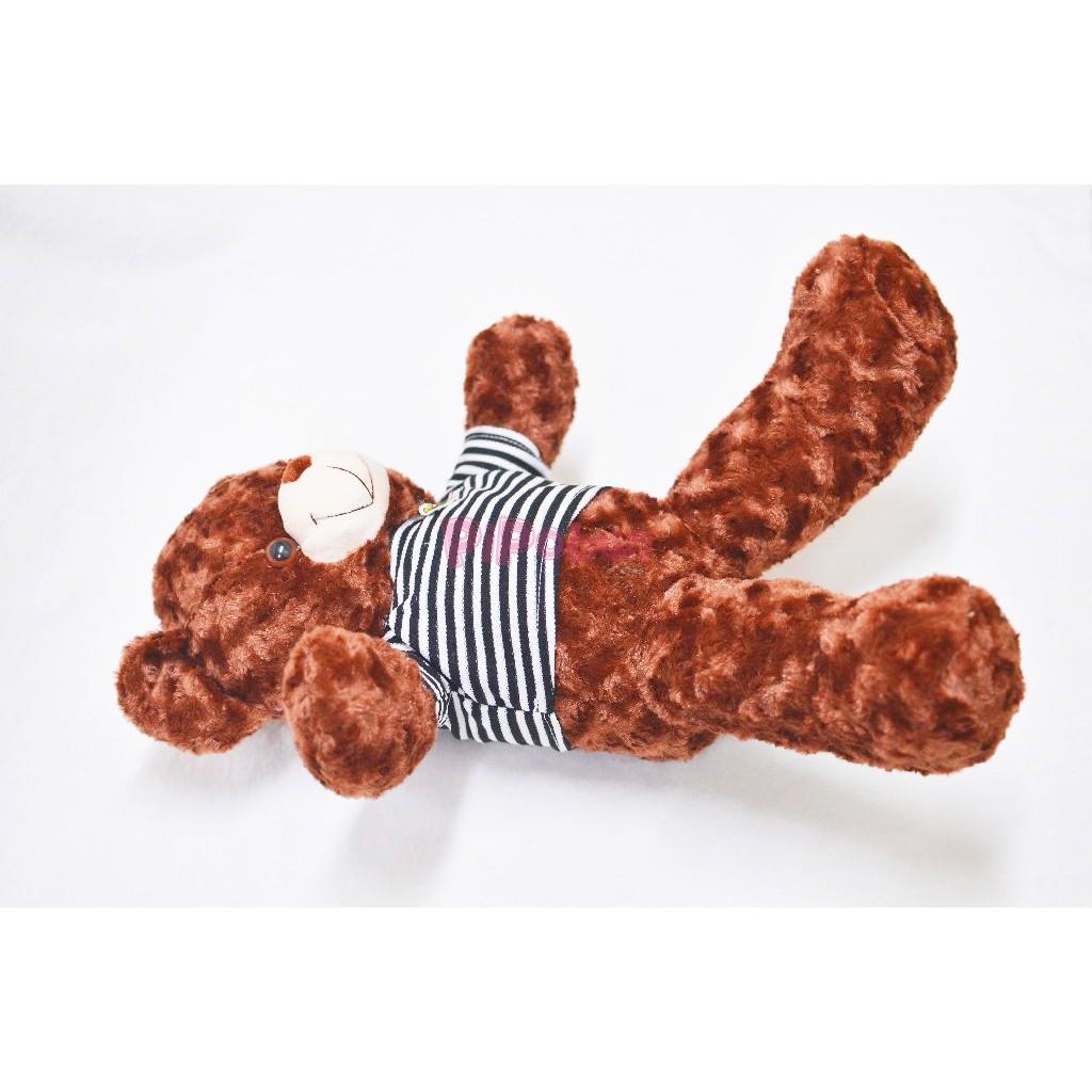 Gấu bông TEDDY Màu Nâu Pipobun size 50cm