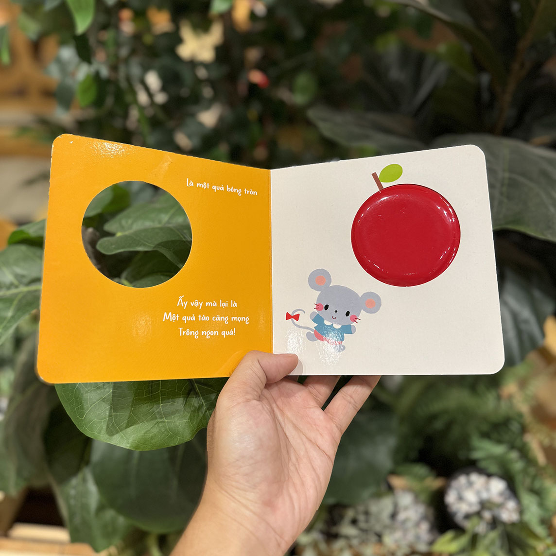 Thứ tròn trĩnh này là gì vậy? - Sách tranh chạm của Arakawa Shizue (mới)