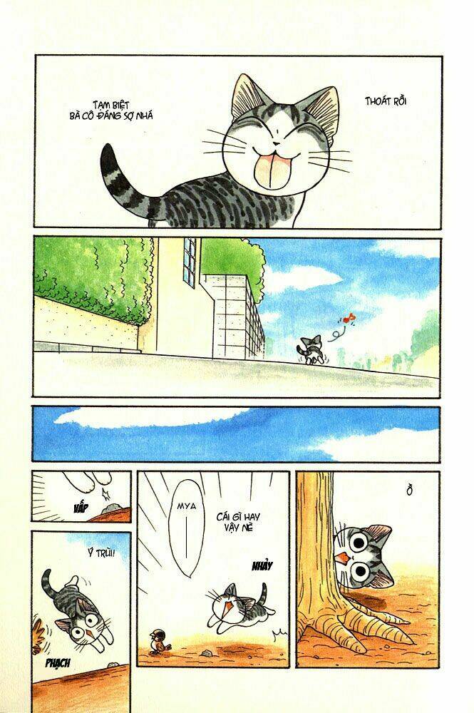 chi's sweet home chapter 12 3