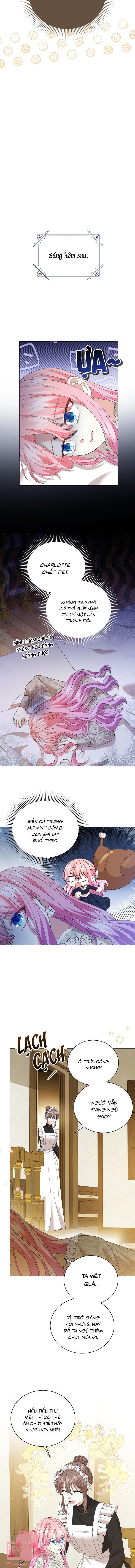 tiểu công chúa đang chờ hủy hôn chapter 34 8