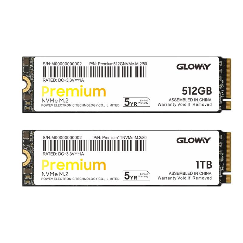 Gloway Premium Series SSD cho Laptop Cache M2 512GB 1TB Basic Disque Dur M.2 PCI-e SSD Ổ Cứng Gắn Trong Cho Máy Tính Xách Tay