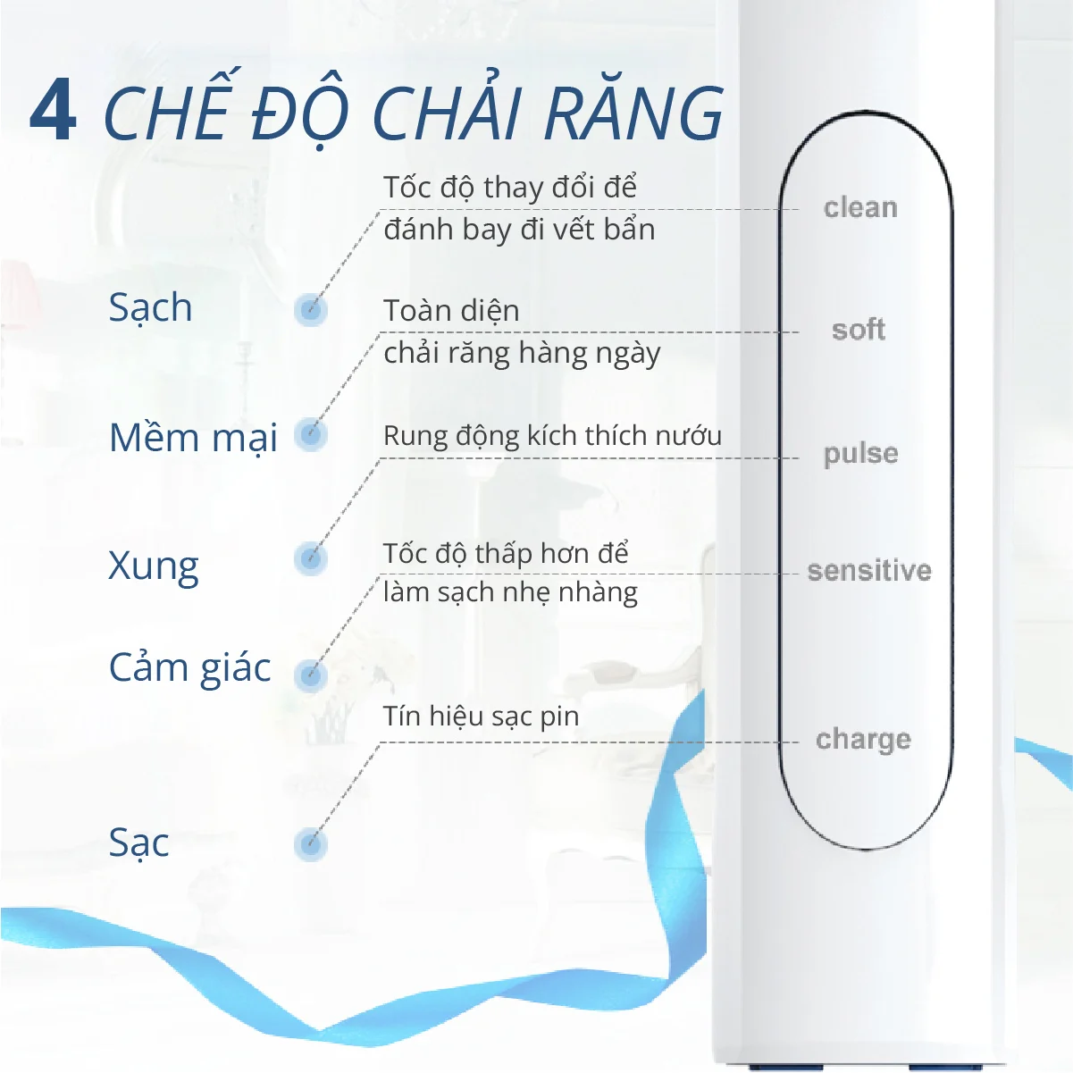 Bàn chải điện đầu xoay tròn Kachi MK361 kèm đế sạc không dây và 2 đầu bàn chải