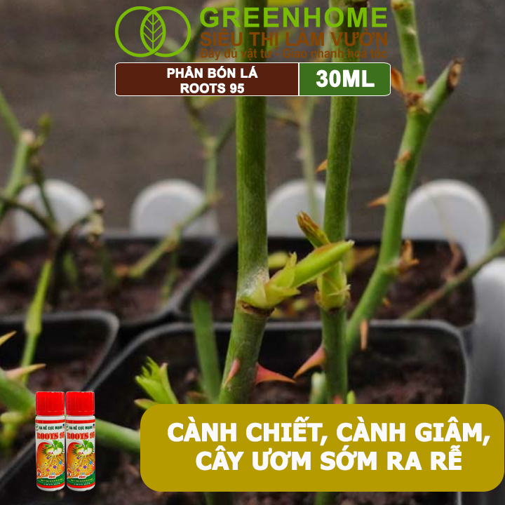 Phân Kích Rễ Cực Mạnh ROOTS 95, GreenHome, Chai 30ml, Kích Ra Rễ Cực Mạnh Chuyên, Cho Hoa Lan