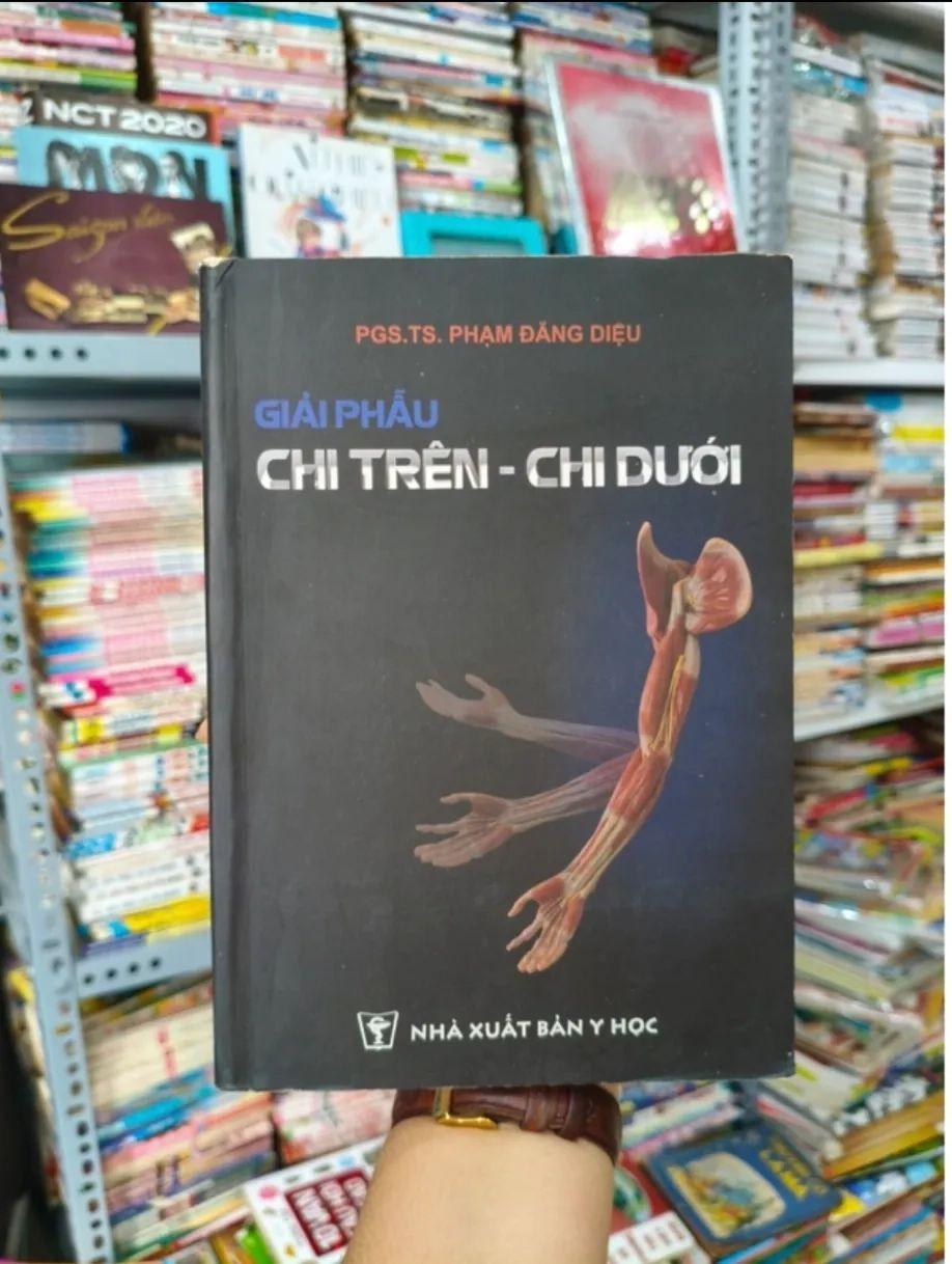 Giải phẫu chi trên chi dưới