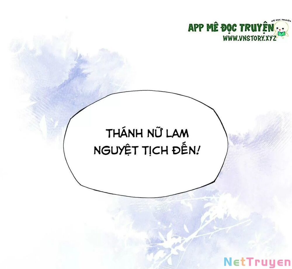 lại bị bệnh chiều chuộng quấn lấy chapter 54 47