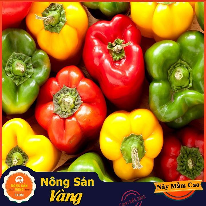 Hạt giống Ớt Chuông Ngọt Nhiều Màu