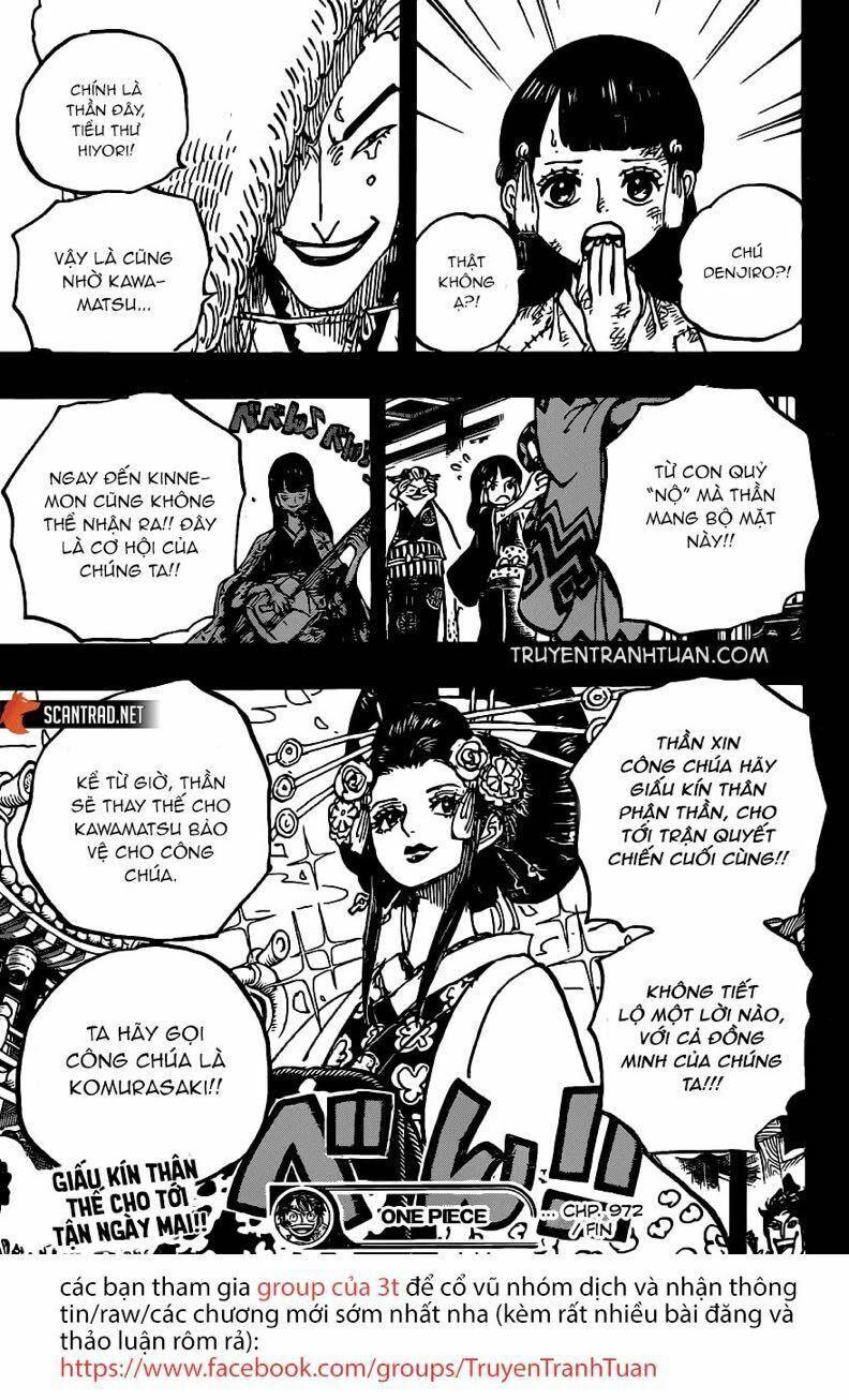 đảo hải tặc - one piece chapter 973 17