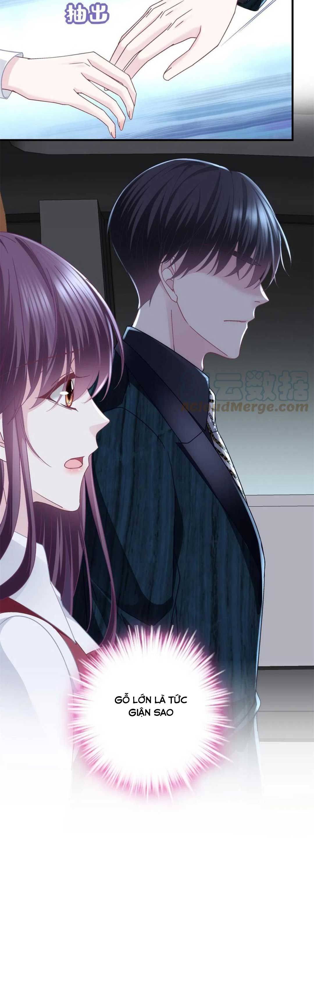 trọng sinh về chinh phục tổng tài chapter 96 19