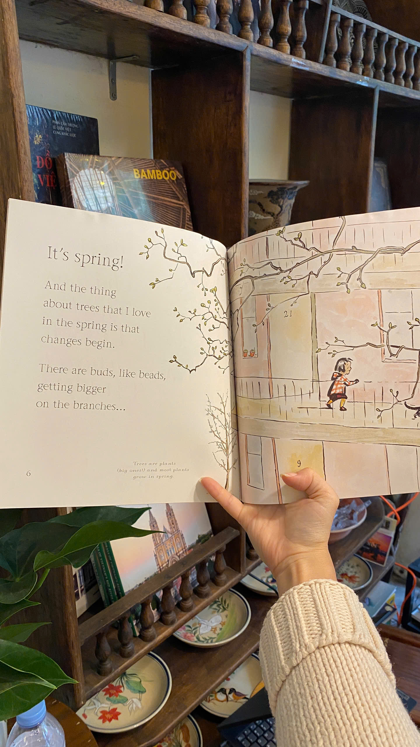 Sách - The Things That I LOVE about TREES by Chris Butterworth | Children's English Picture Book