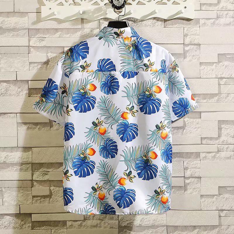 Set Đồ Mùa Hè Thời Trang Dành Cho Nam