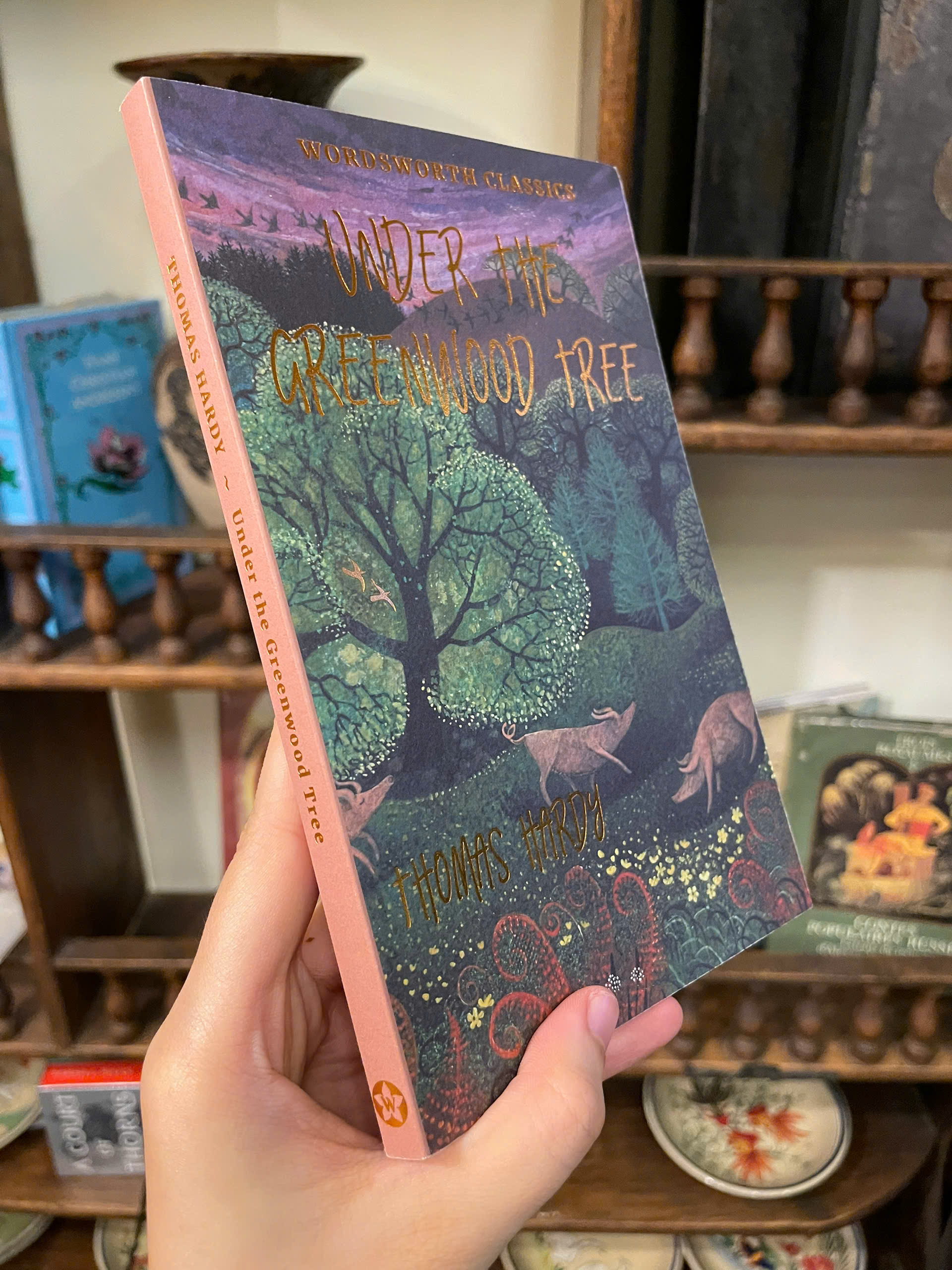 Sách - Under the Greenwood Tree (Wordsworth Classics) by Thomas Hardy | English Romance Book