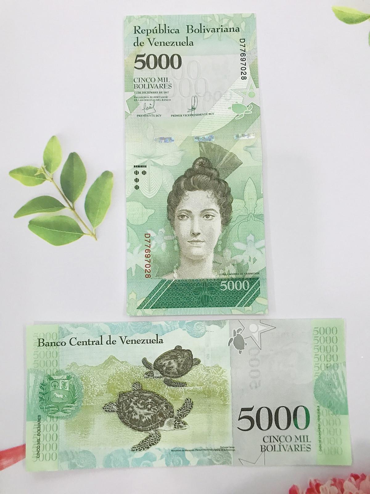 Tờ tiền con rùa 5.000 Venezuela xanh lá -  tặng túi nilon bảo quản tiền