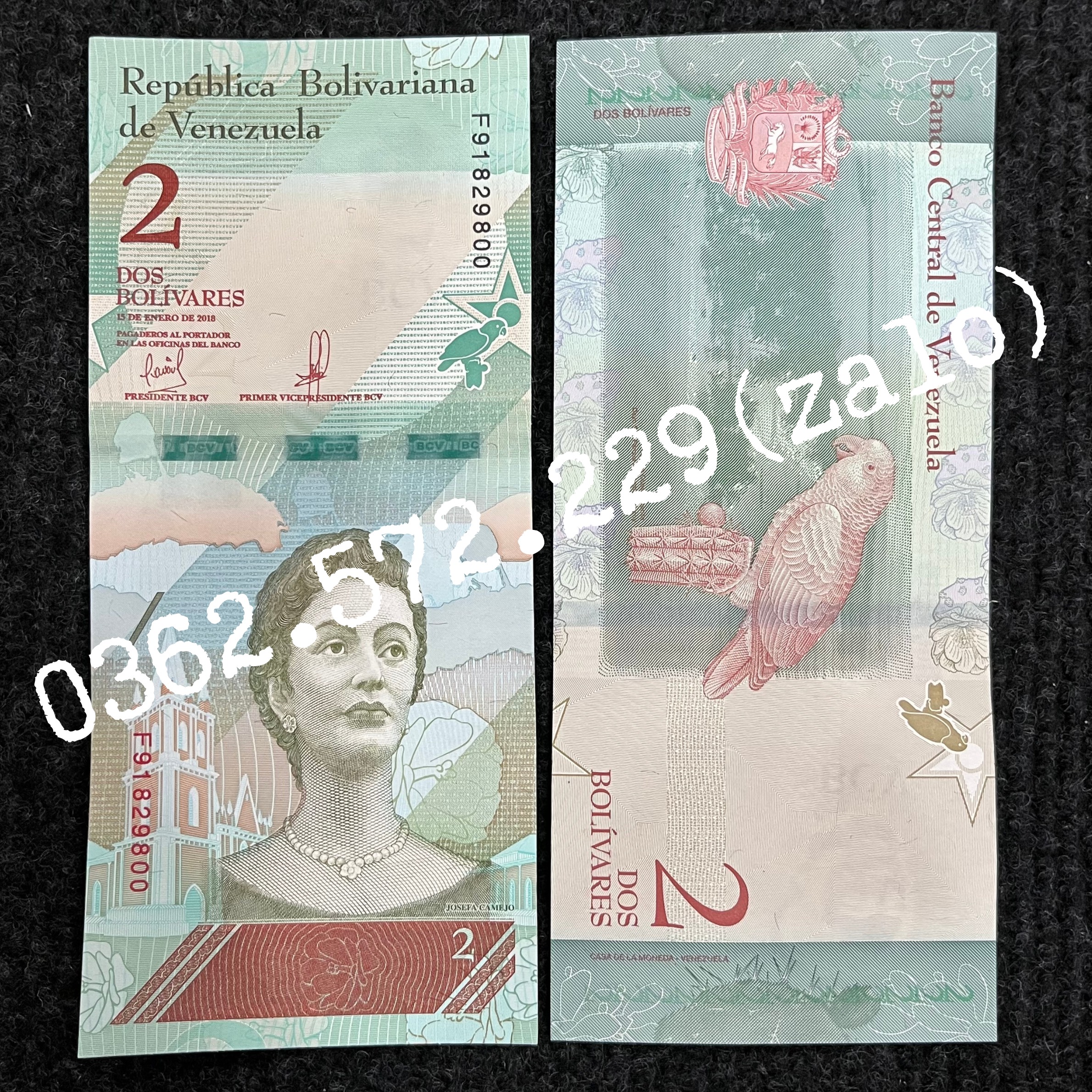 Tiền 2 Bolivares của Venezuela hình con chim két tiền châu Mỹ , Mới 100% UNC