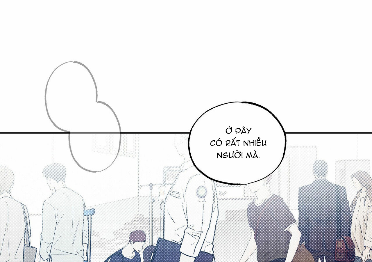 chàng giao pizza và gold palace chapter 8 28