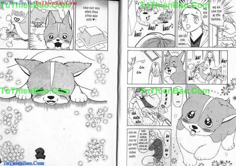 chó con mo mo chapter 4 6