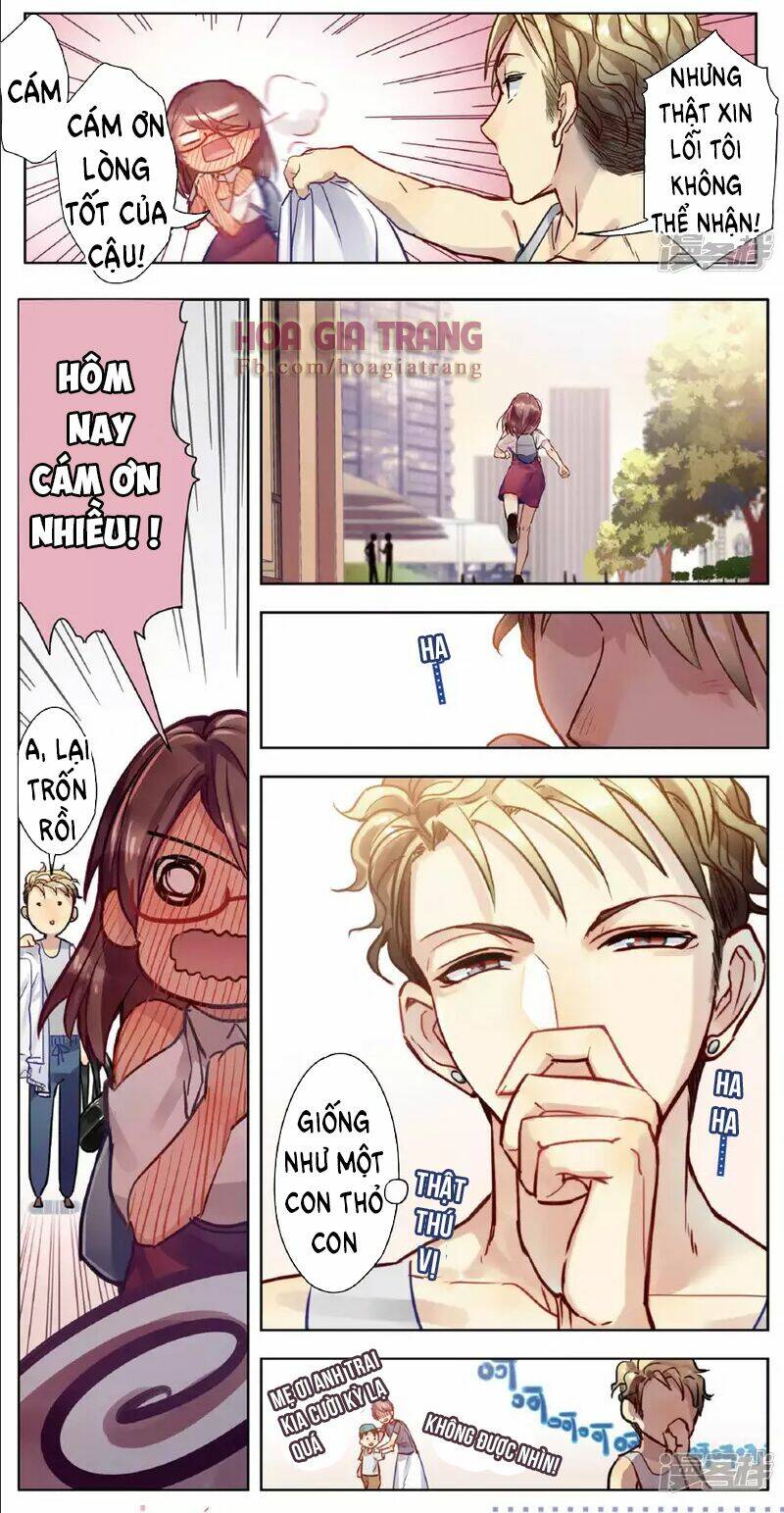 thỏ tử nhiệt lãng chapter 2 6