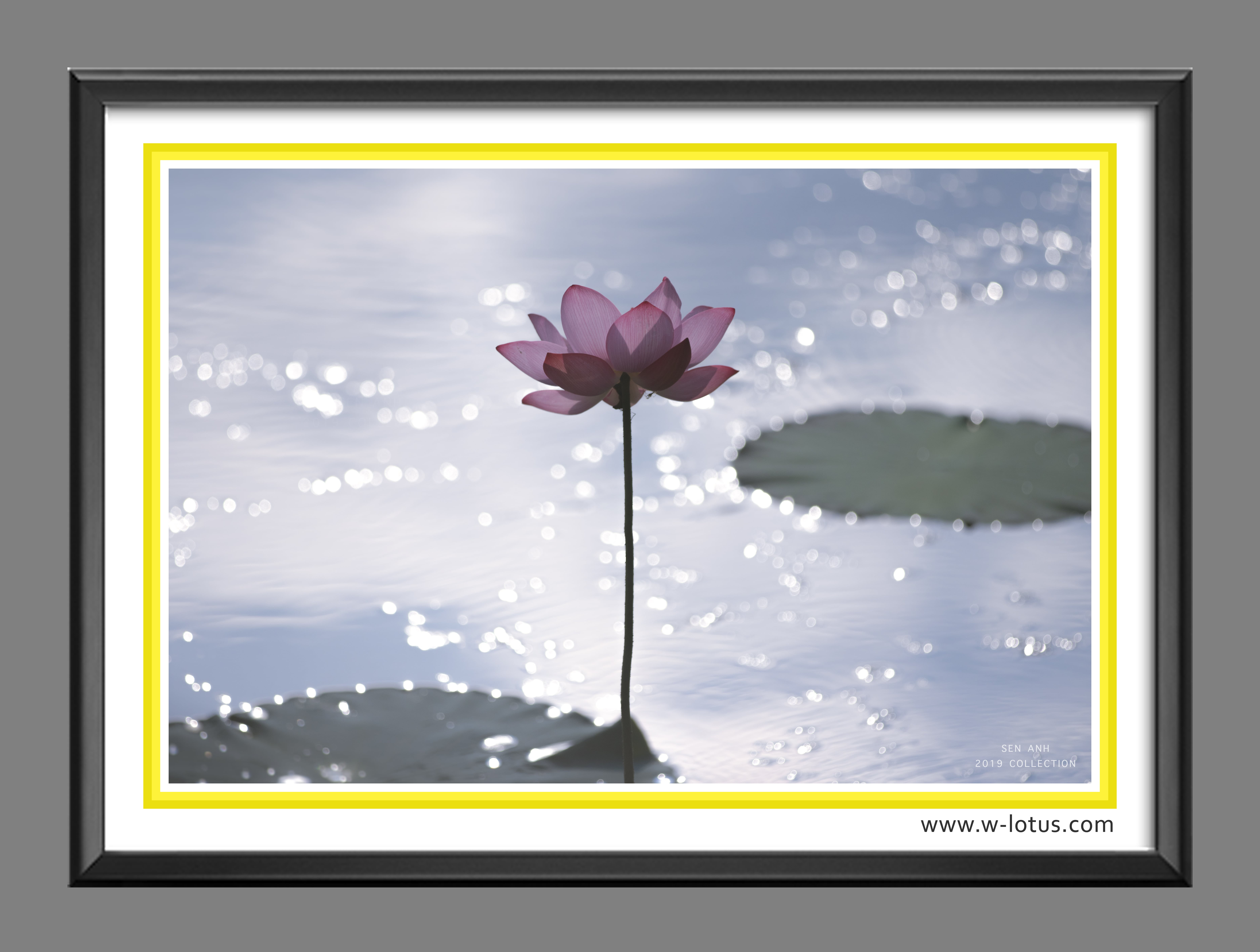 Tranh canvas hoa Sen treo phòng khách ST-00070