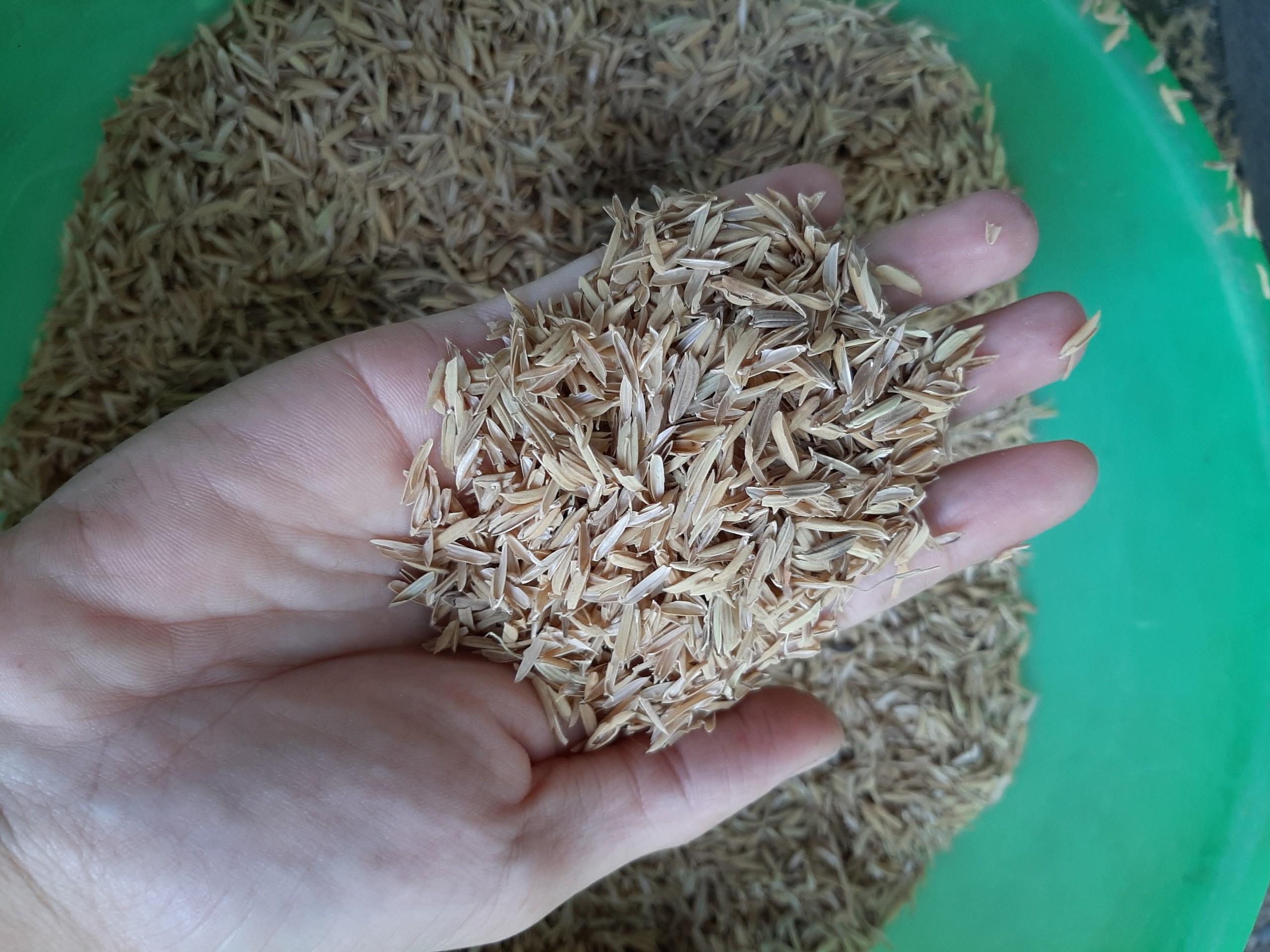 Giá thể vỏ trấu sống qua xử lý trộn đất trồng cây, rau hoa - gói 500 gram