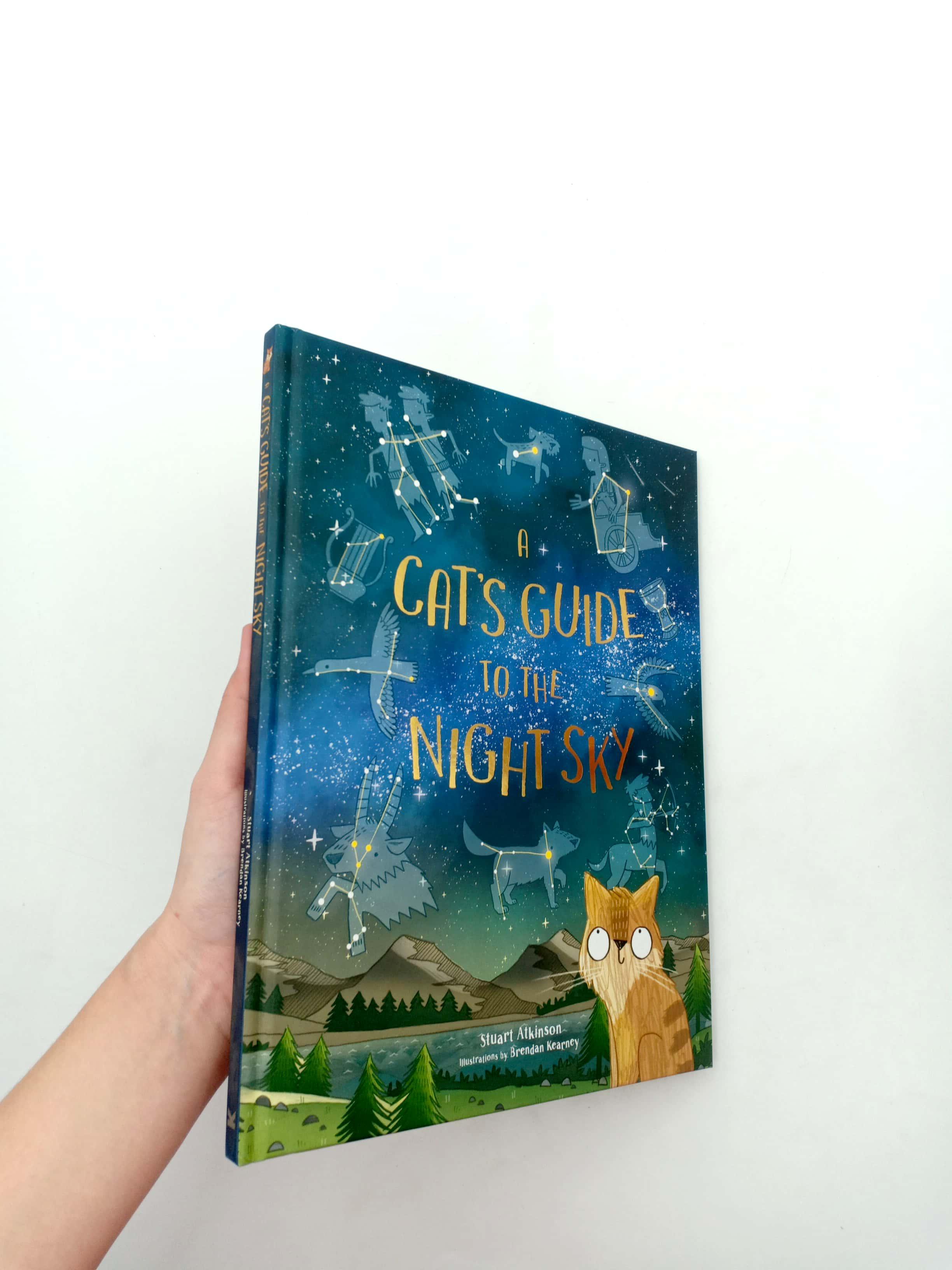 A Cat's Guide to the Night Sky