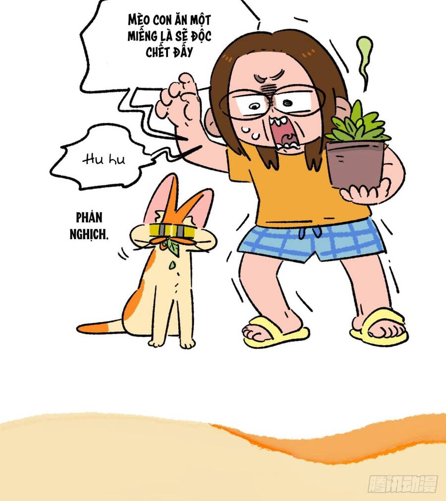 a mãn và mạch trà chapter 176 6