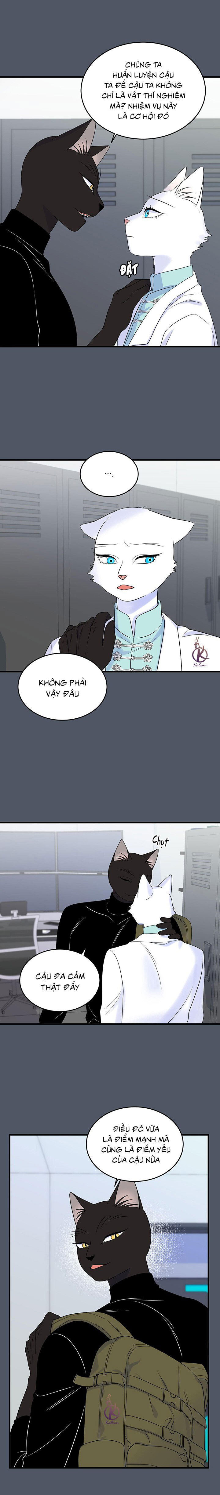 dự án xanh chapter 41 17