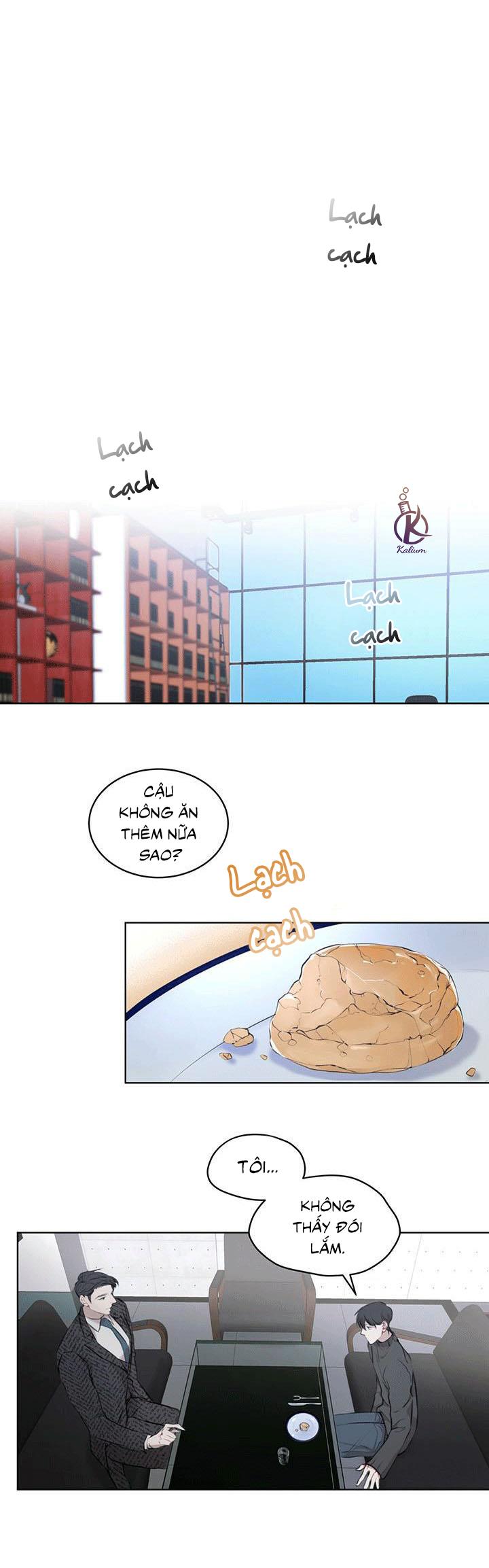 hình thái khởi sinh chapter 11 12