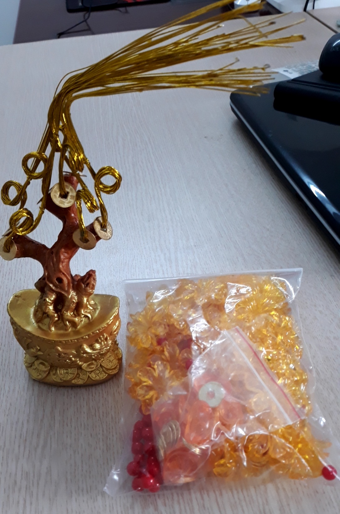 Cây kim tiền cầu tài lộc trang trí nhà cửa để bàn loại 7 cành