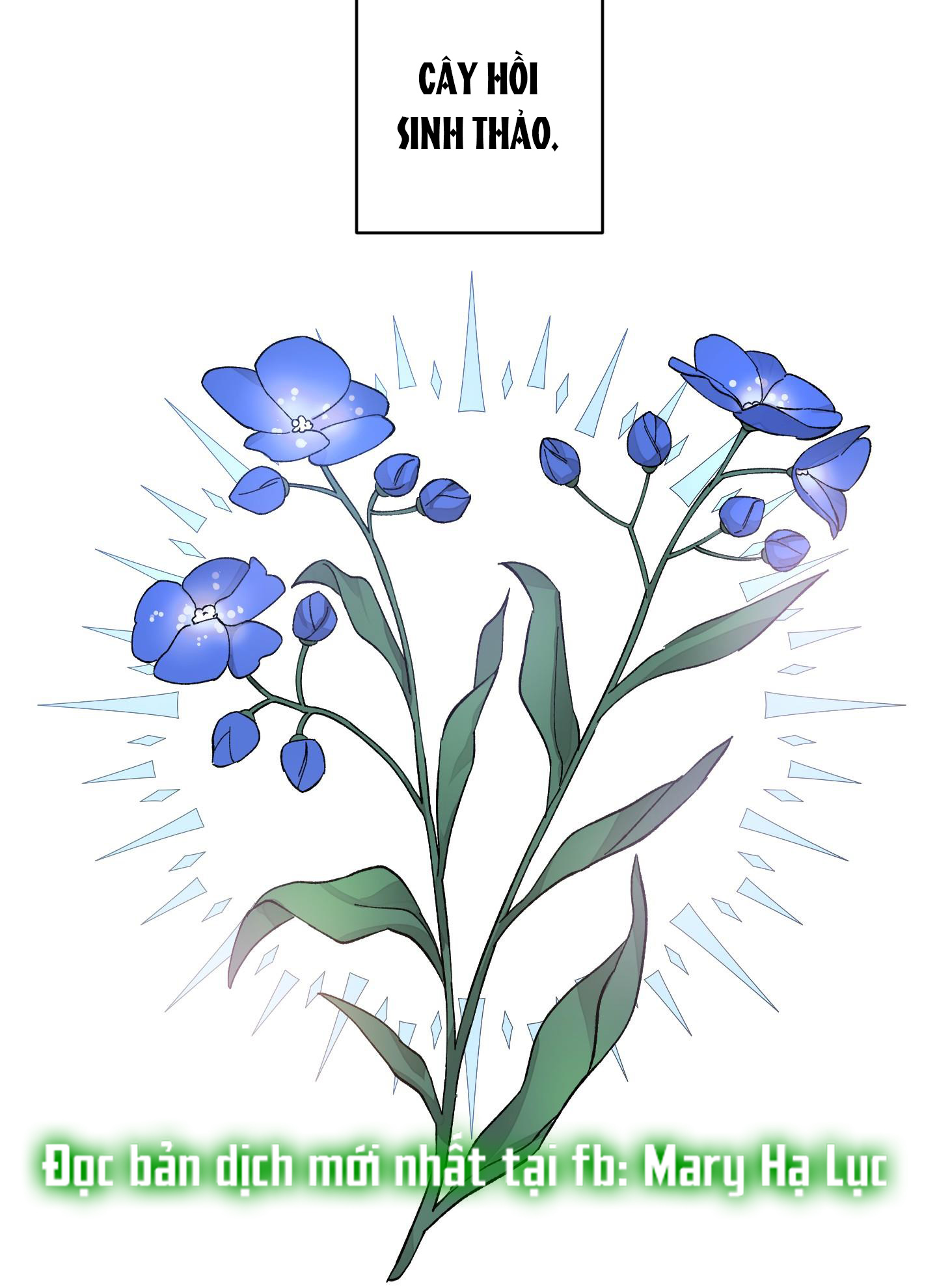 đóa hoa của mặt trời chapter 19.1 39