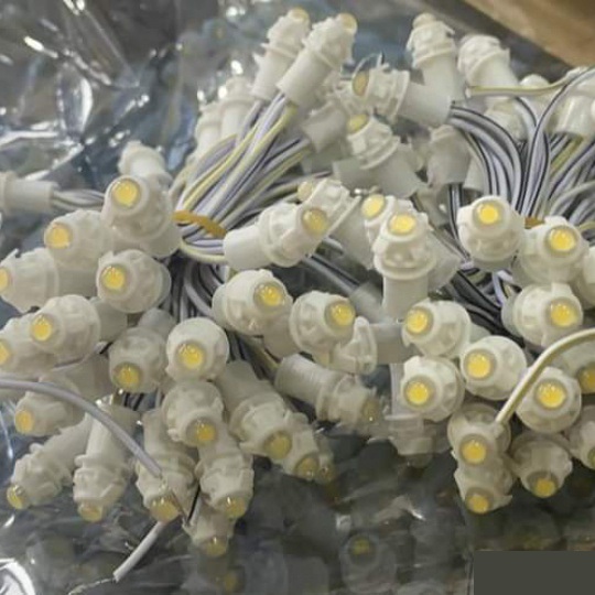 LED Đúc F5 12V Dùng Treo Cây, Quấn Cây, Trang Trí...Màu Vàng Nắng