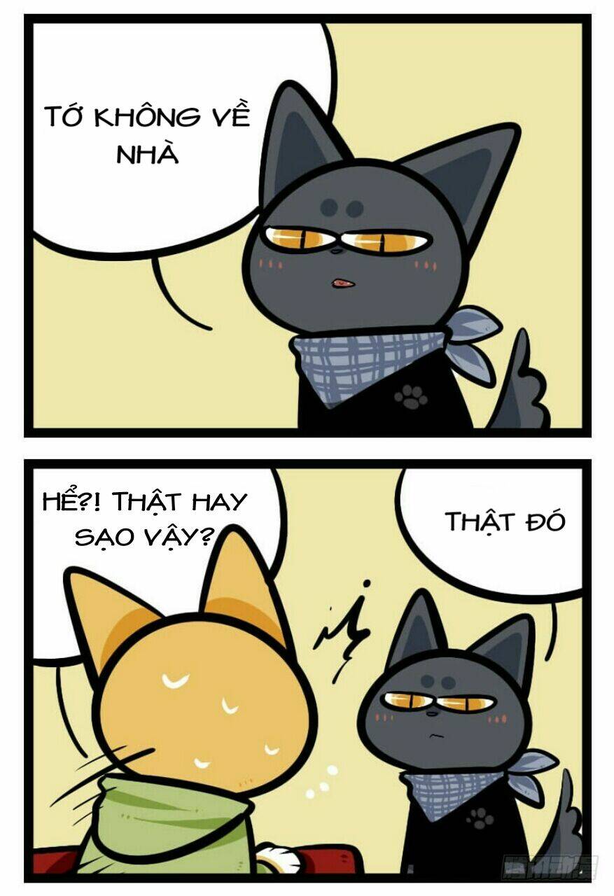 đời không như mình tưởng chapter 21 4