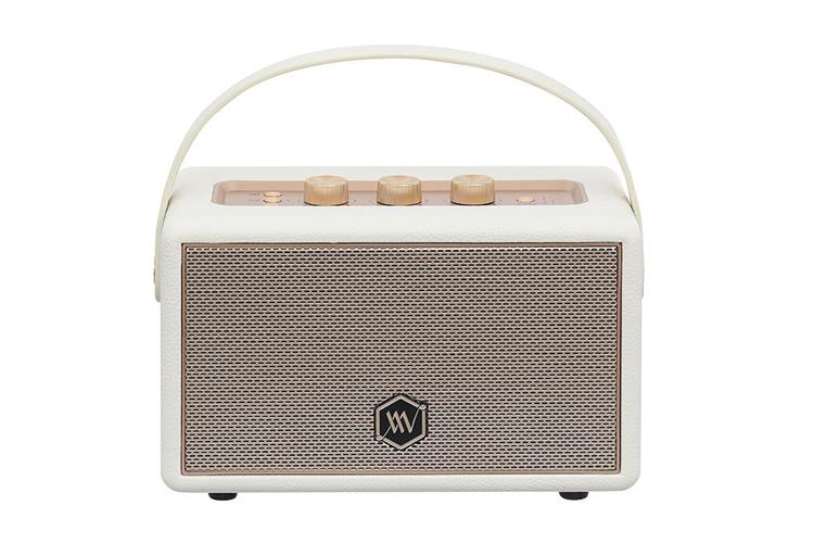 Loa Bluetooth Alpha Works AW-W89 - Hàng chính hãng