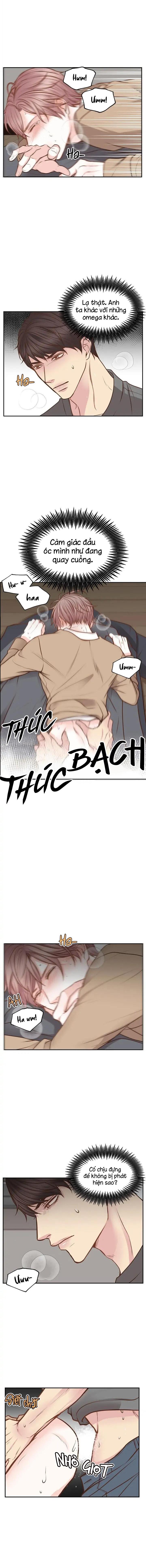 tan chảy trong em chapter 8 2