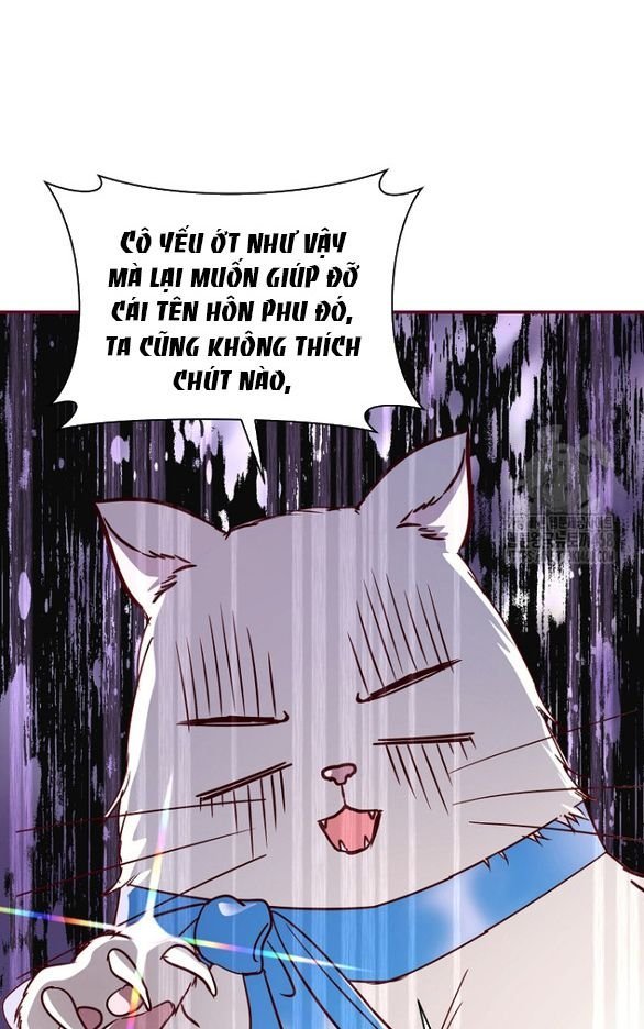 ngài công tước, tôi sẽ làm mọi thứ, trừ việc kết hôn! chapter 15.1 24