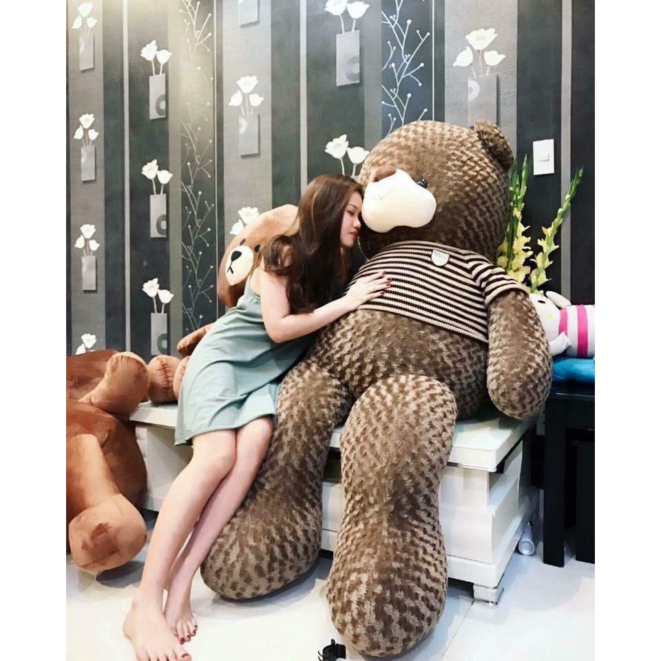 Gấu bông Teddy ̀ ̂́, gối ôm hình thú nhồi bông siêu to khổng lồ 1m8/1m5/1m3/1m1/95cm