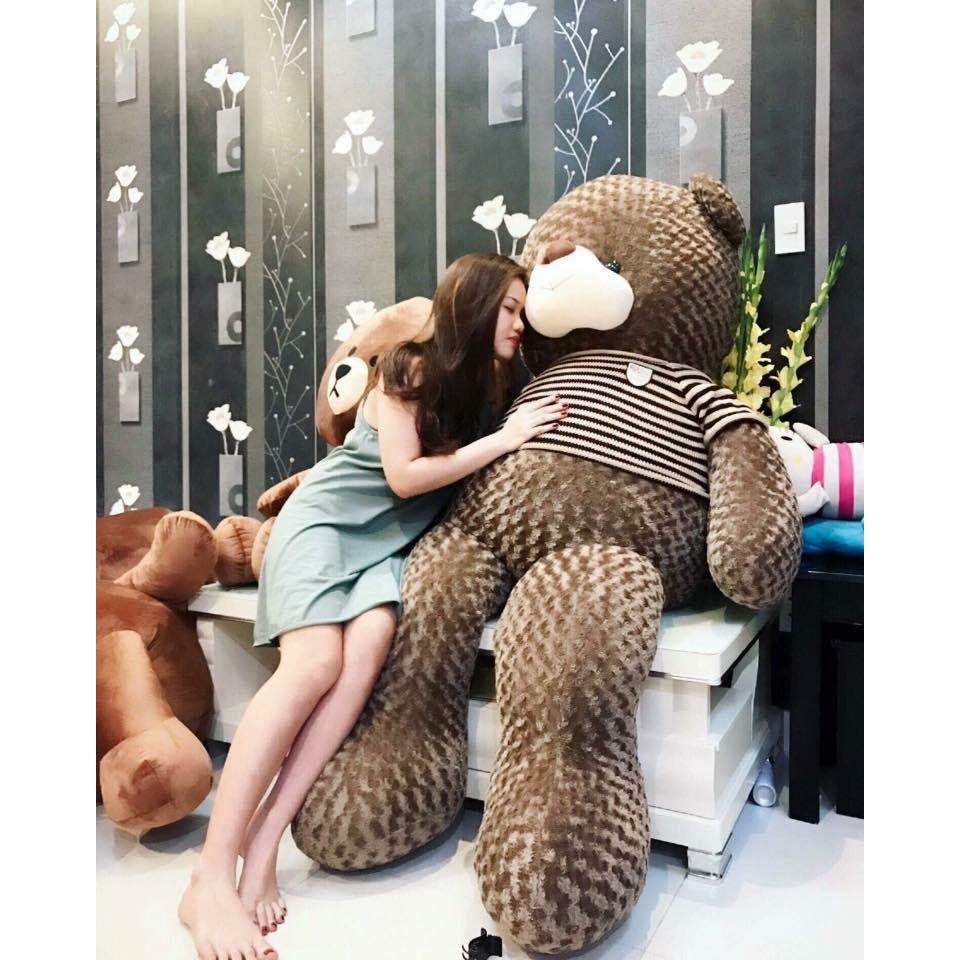 Gấu bông Teddy ̀  ̂́, gối ôm hình thú nhồi bông siêu to khổng lồ 1m8/1m5/1m3/1m1/95cm