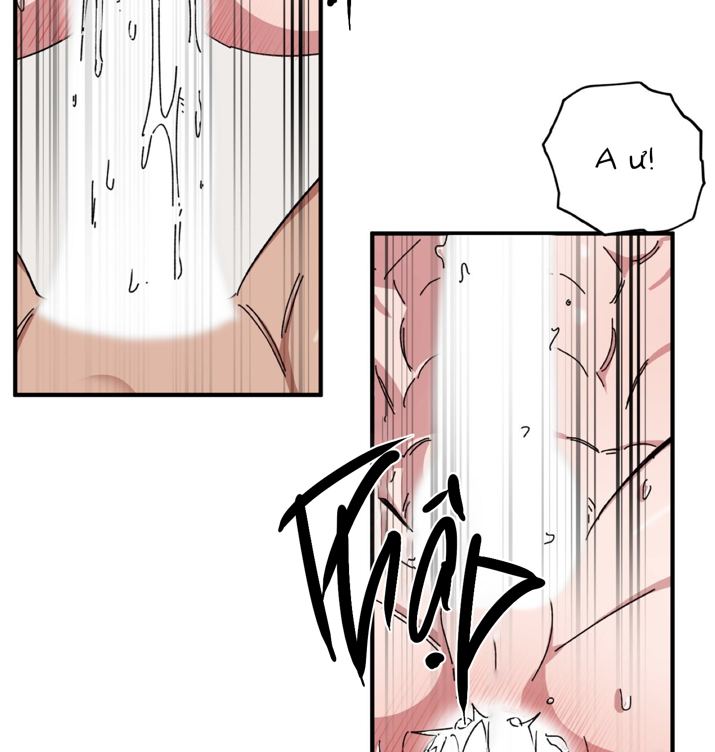 chàng dâu nhà họ kang chapter 36 76