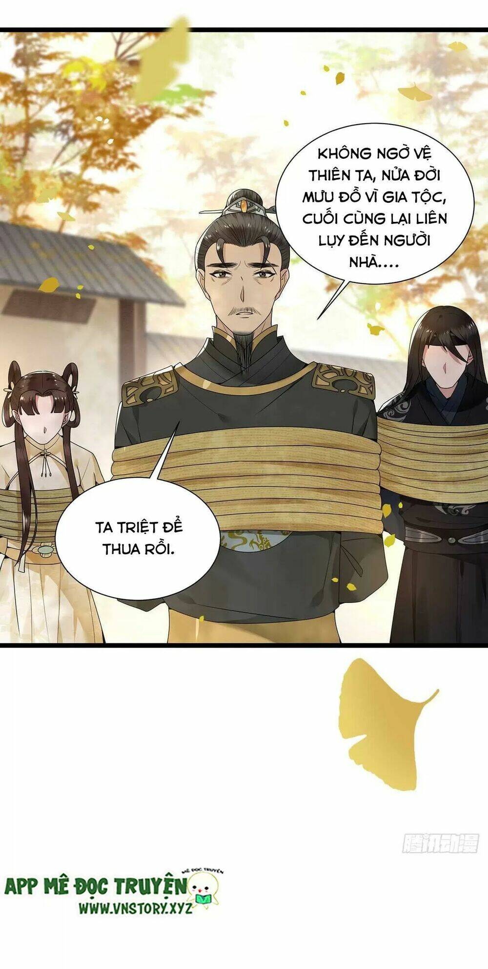 phượng hoàng vu phi chapter 124 13