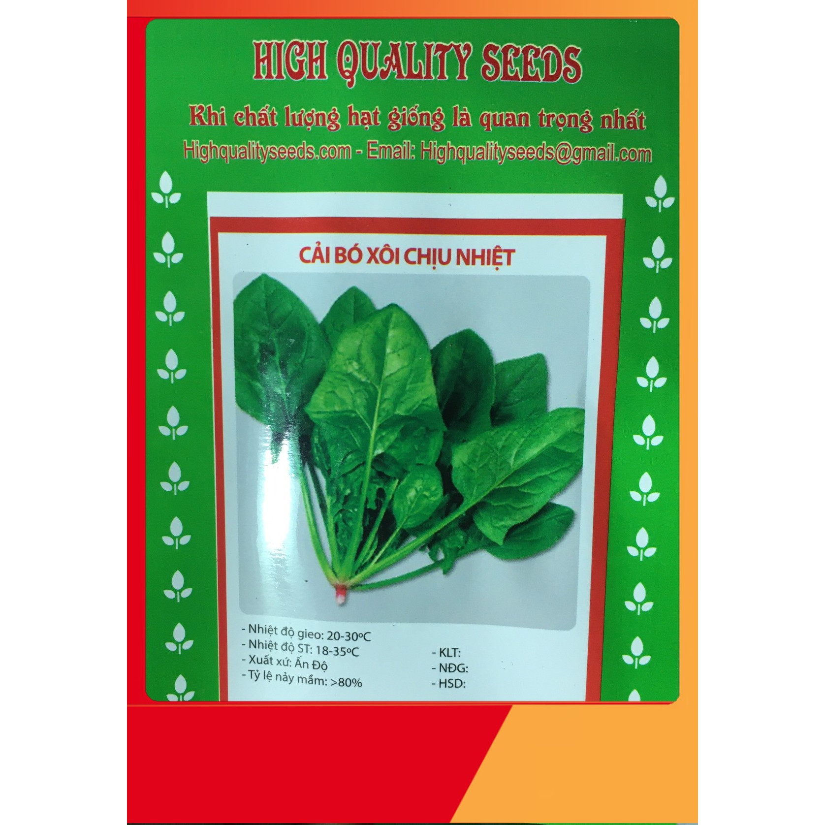 Hạt Giống Cải Bó Xôi - Nảy Mầm Cực Chuẩn