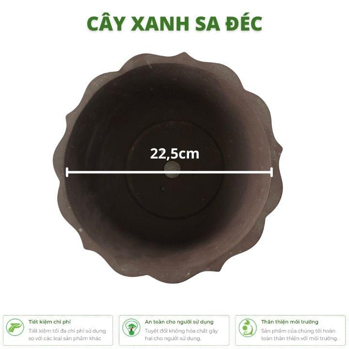 Chậu tròn miệng hoa sen CK25 điểm nhấn tinh tế cho ngôi nhà, chỗ làm việc, trang trí phòng khách