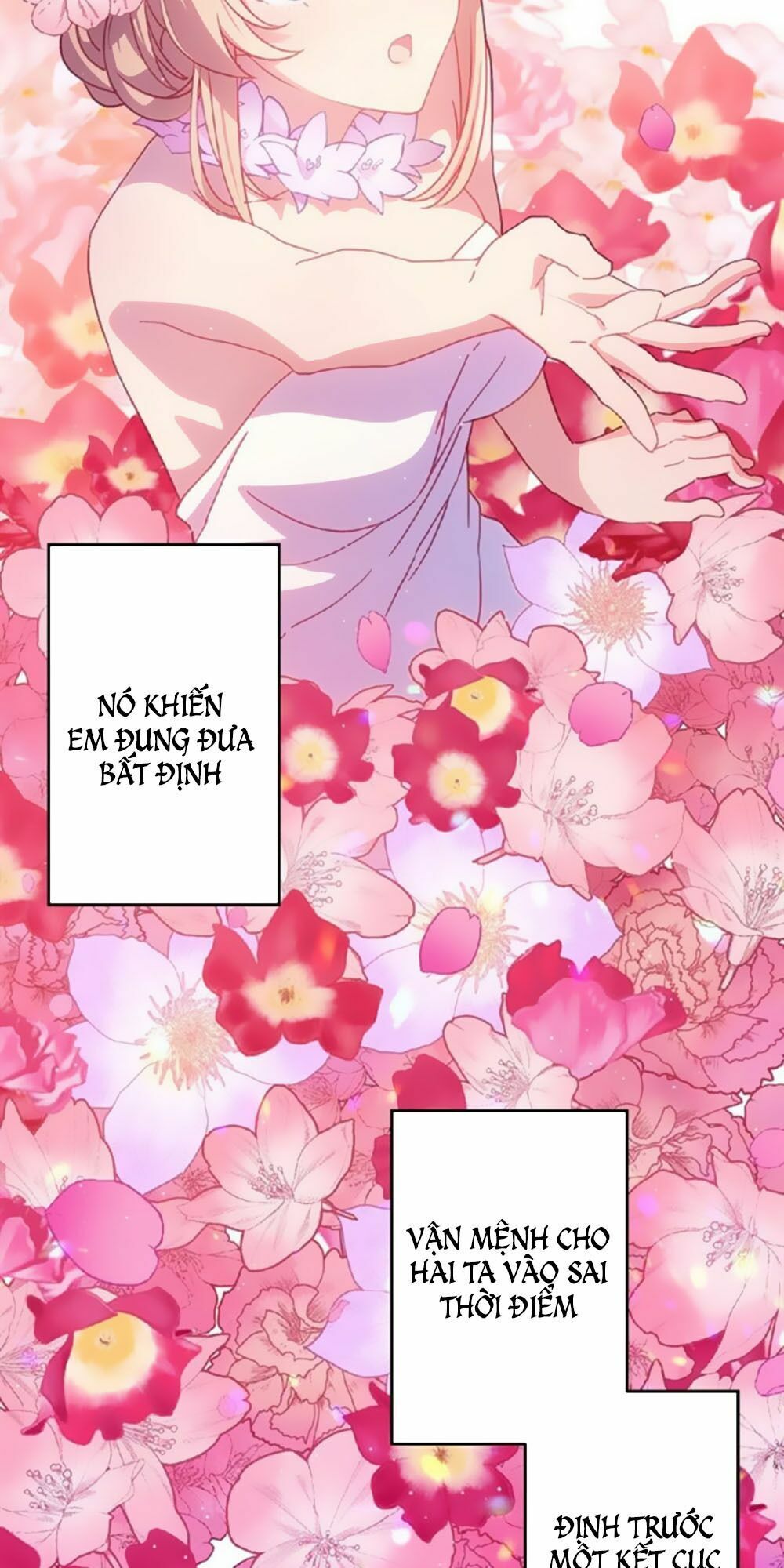 bài ca tình yêu chapter 14 6