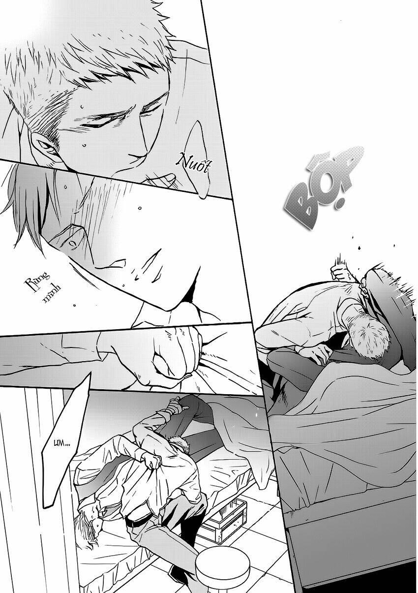 saezuru tori wa habatakanai chapter 13 14